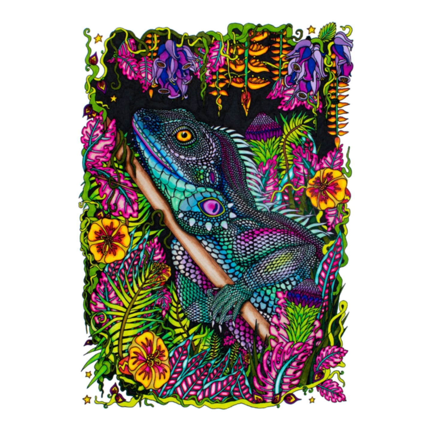 SALE Lizard Archival Print