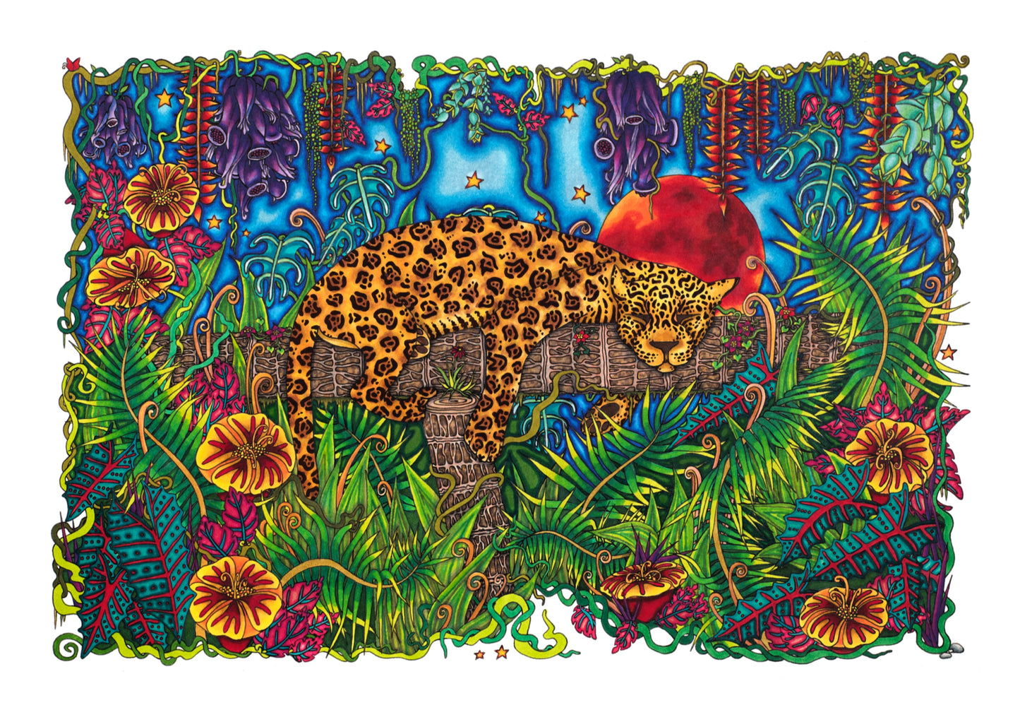 SALE Jaguar Archival Print